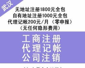 漢口專業財稅服務 財務代理、內賬外賬管理、一般納稅人申請、清理舊賬與代辦貸款申報一站式解決方案
